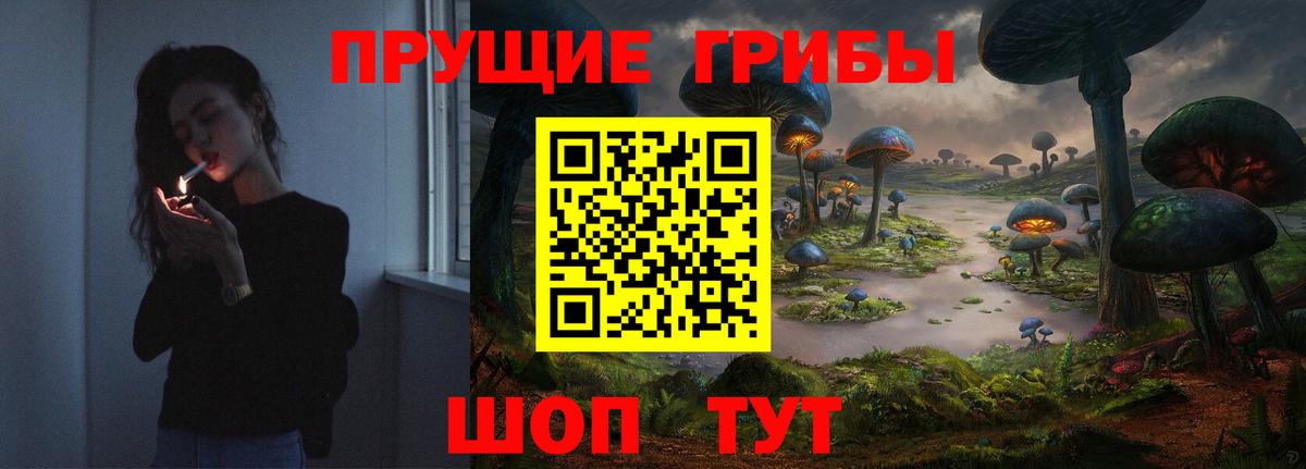 Галлюциногенные грибы прущие грибы  Вход с VPN  даркнет сайт  Осинники 